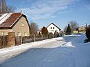 Třibřichy